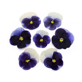 Цветы обезвоженные съедобные - "Виола, Волшебный синий, плоские" (Упаковка ~ 20 шт.) фото 13495